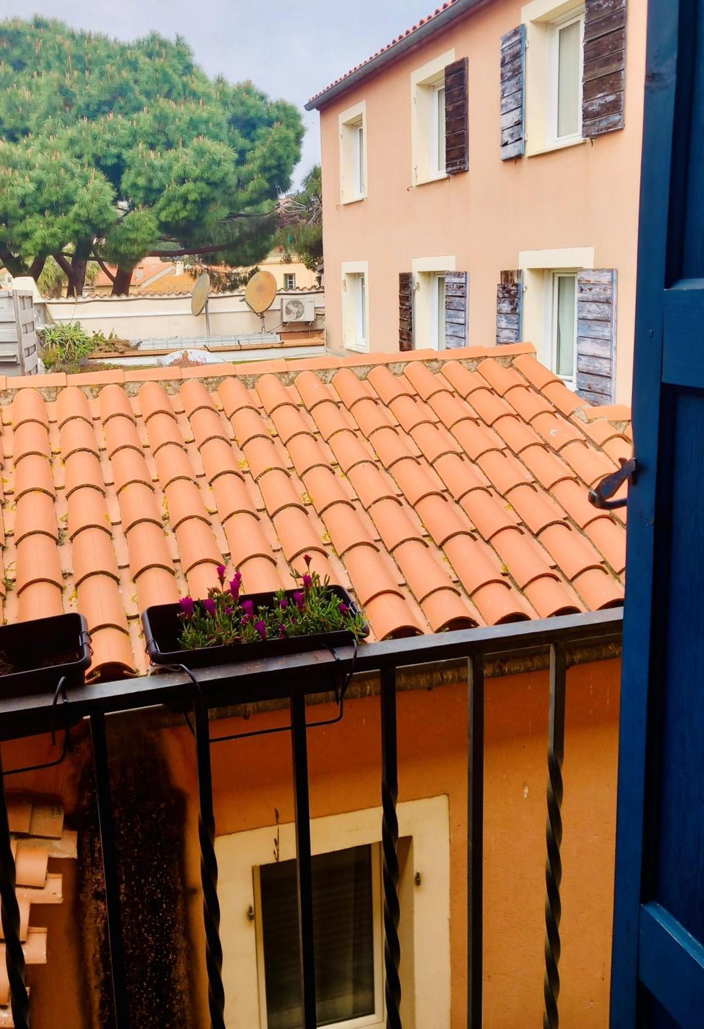 Chambres Rue De La Republique Collioure Ngoại thất bức ảnh